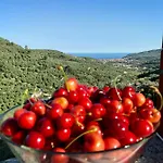 Διαμέρισμα Piccola Navetta