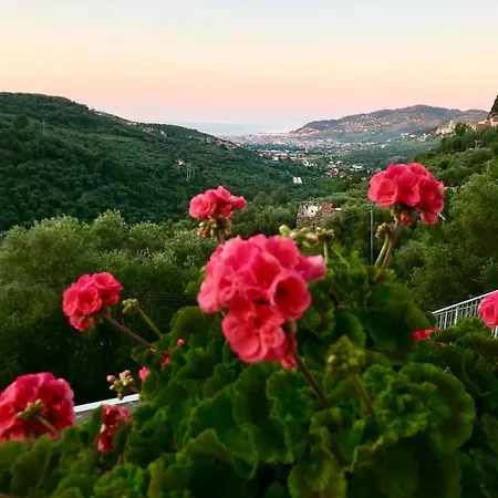 Piccola Navetta 公寓 Diano San Pietro