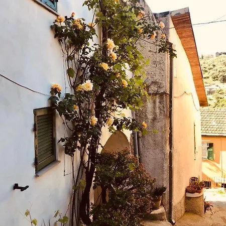 公寓 Piccola Navetta