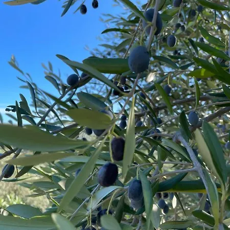 公寓 Piccola Navetta *