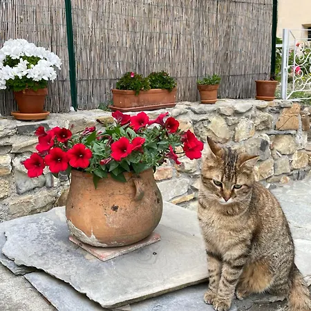 公寓 Piccola Navetta *