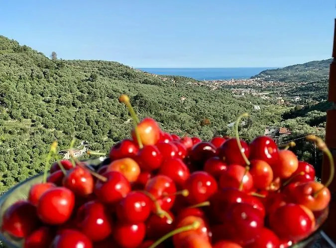 Apartman Piccola Navetta