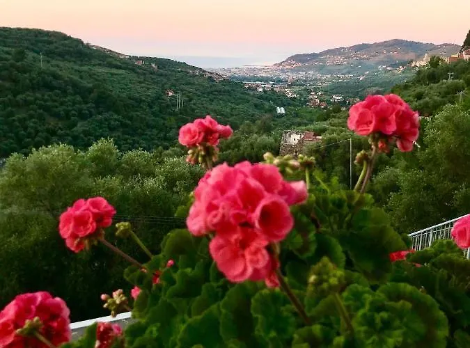 Piccola Navetta Apartman Diano San Pietro