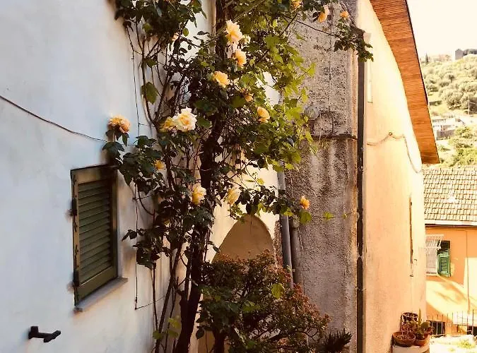 Apartman Piccola Navetta