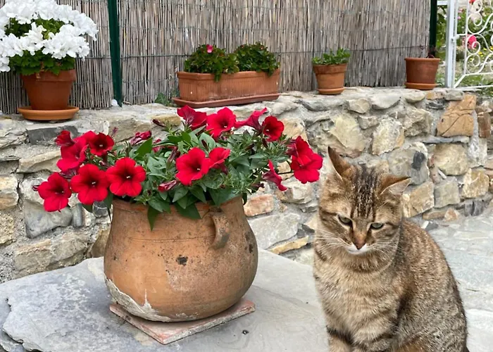 Apartman Piccola Navetta *