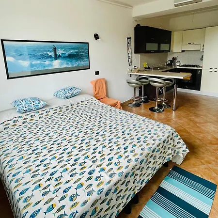 Piccola Navetta *